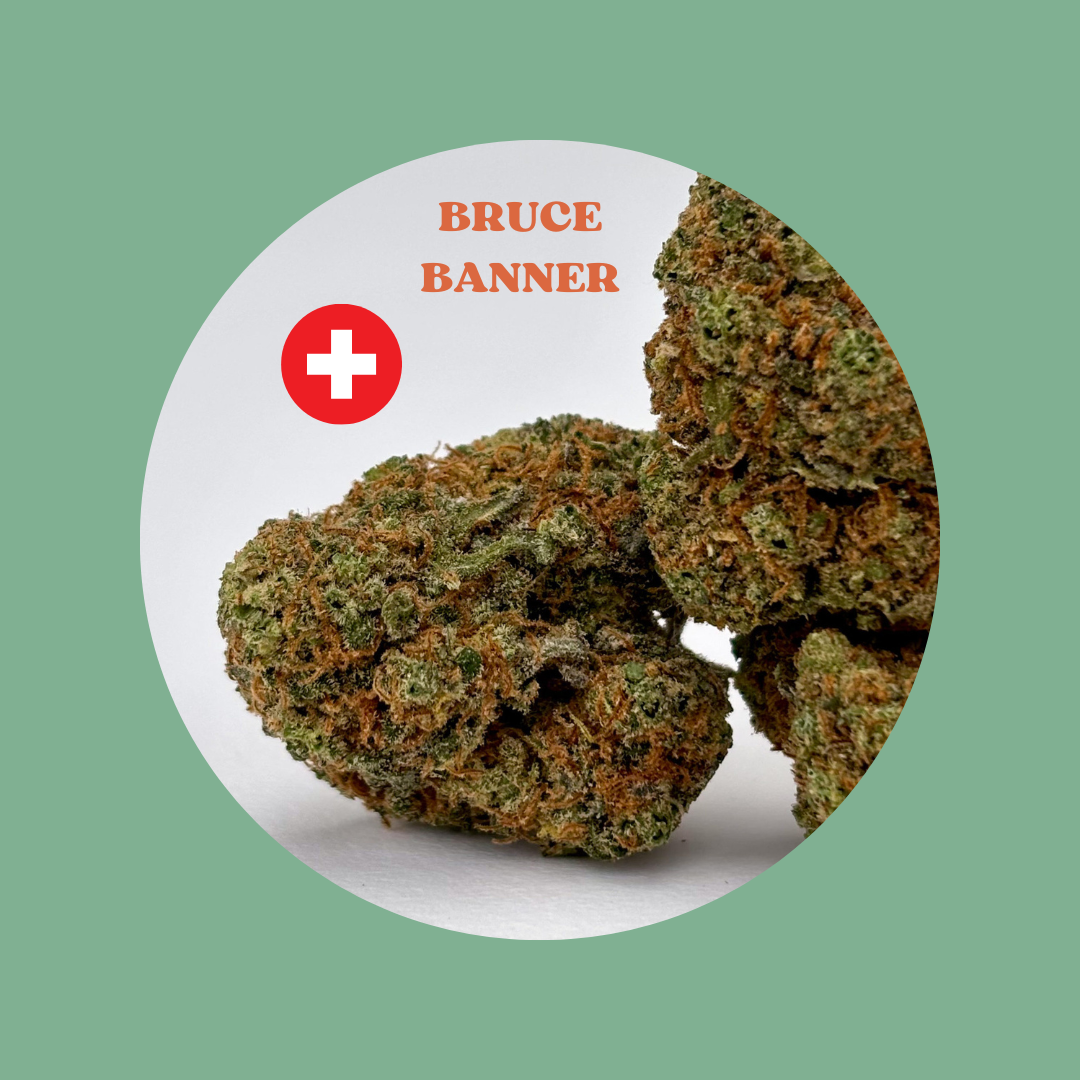Bruce Banner - Culture hydroponique Suisse - (Prix au gramme)