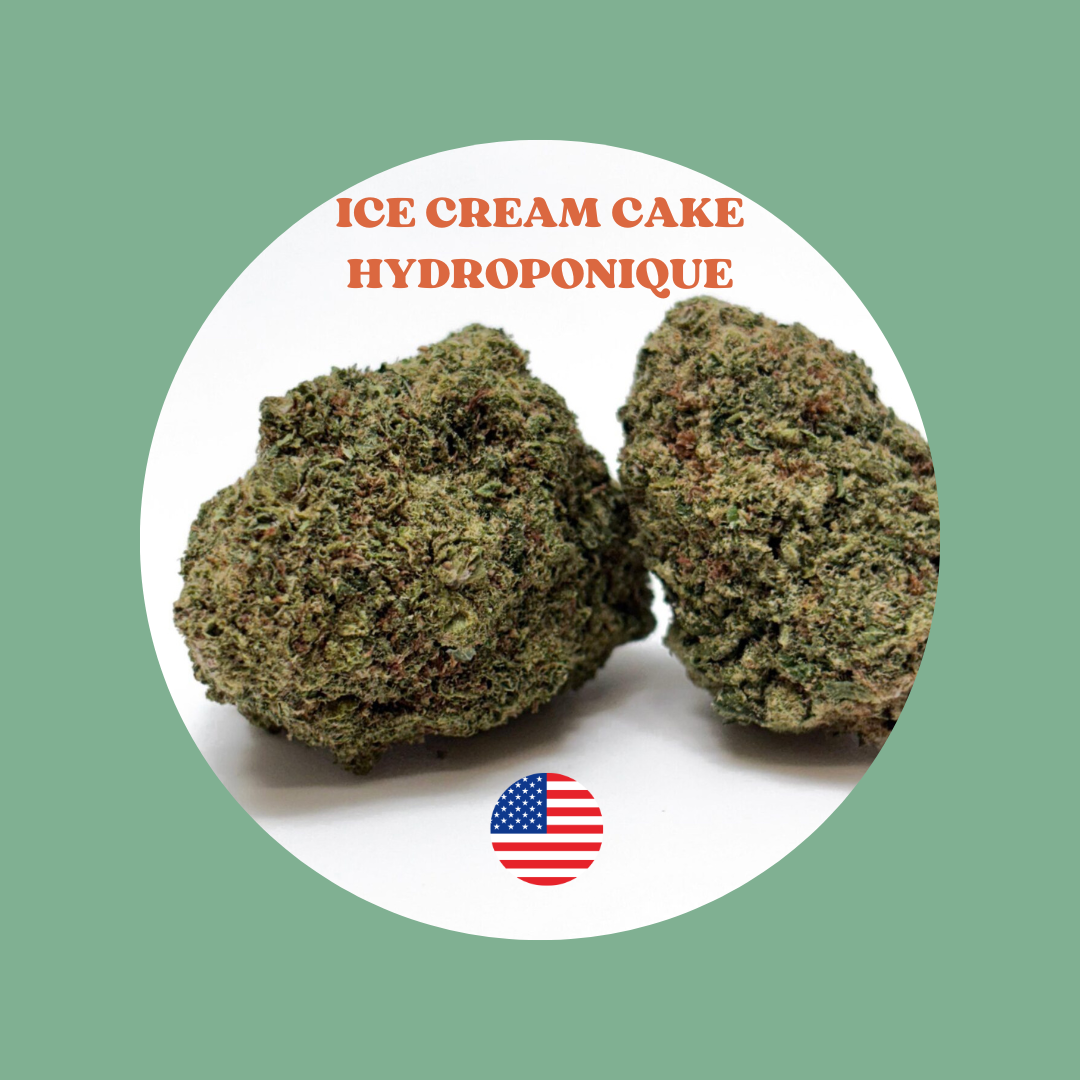 Ice Cream Cake - Cali Hydroponique USA - Prix au gramme