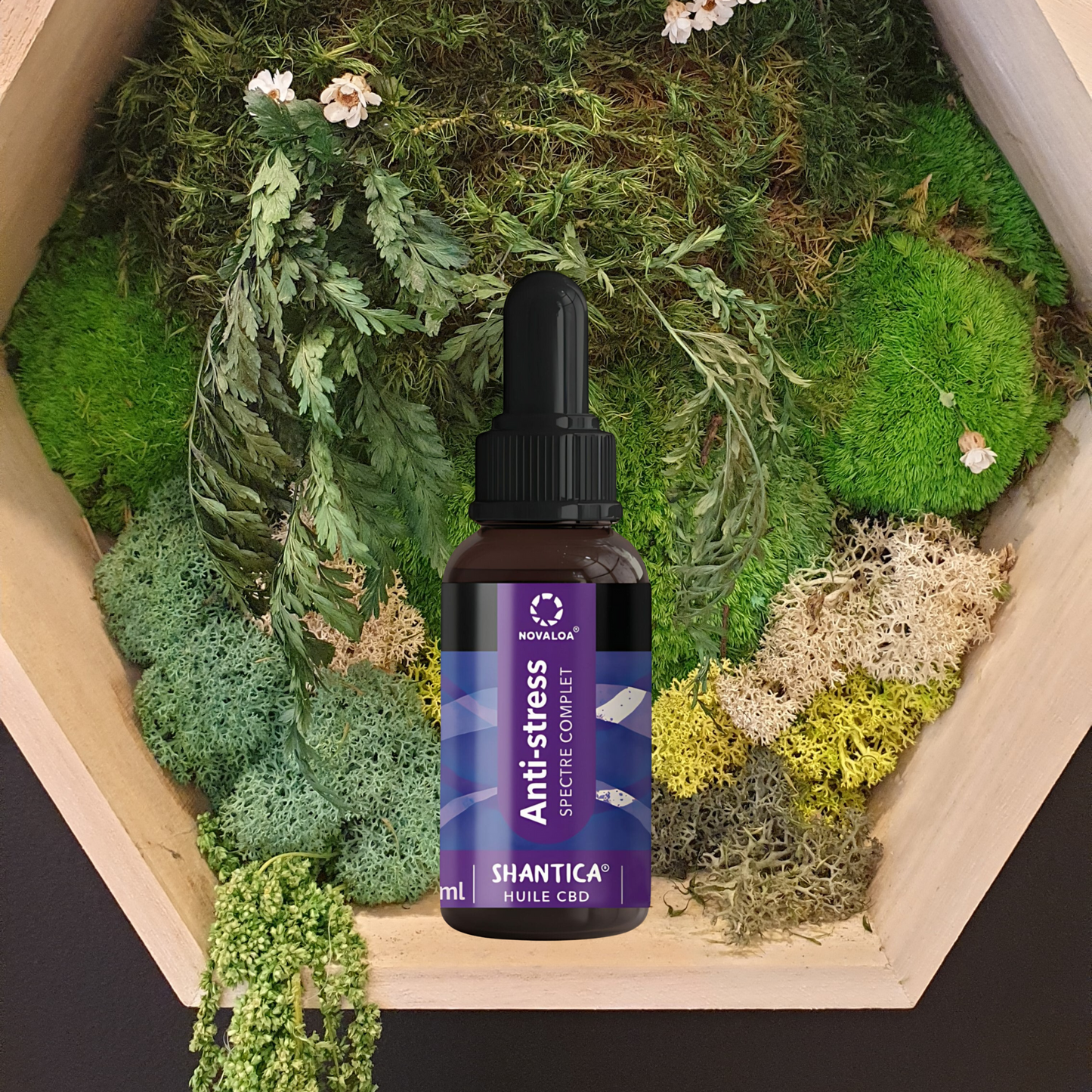 Huile Anti-Stress - 20% Spectre complet - Mélisse & Paciflore