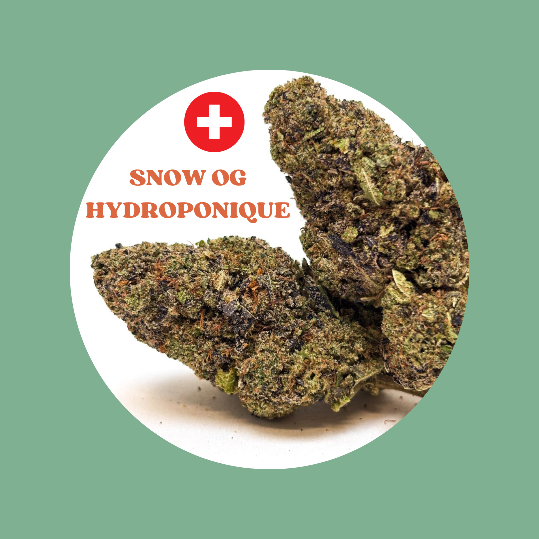 Snow Widow OG - Cali Hydroponique USA - Prix au gramme