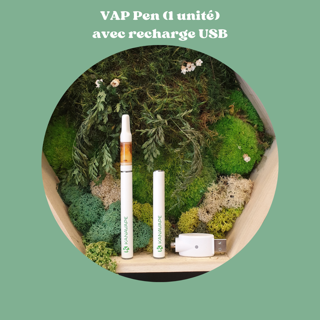 Vap Pen 350 mh + chargeur USB