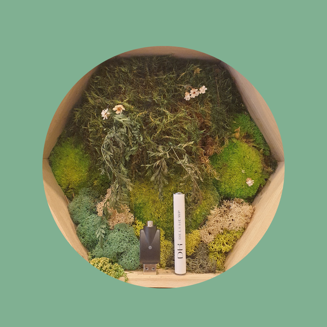 Vap Pen 350 mh + chargeur USB