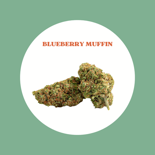 Blueberry Muffin  - culture indoor Suisse - (Prix au gramme)