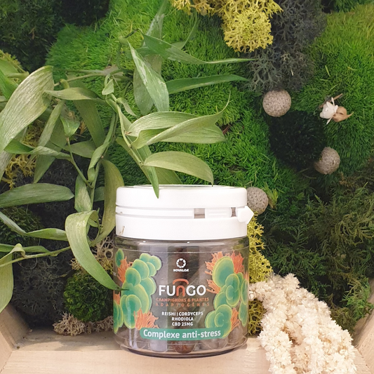 Gélules Anti-Stress Fungo – CBD, champignons et plantes adaptogènes