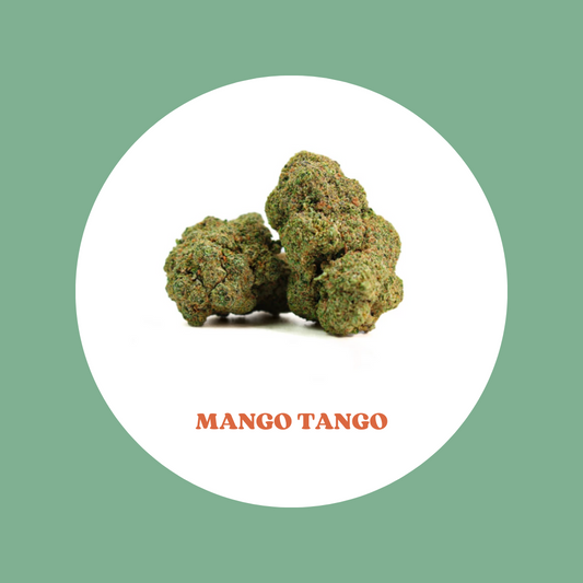 Mango Tango culture en Hydroponie Californie - Prix au gramme